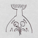 물리치료