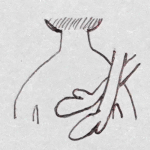 추나