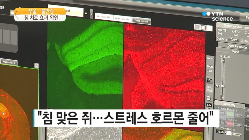 광진경희한의원 | 일반시술 광진경희한의원|일반시술