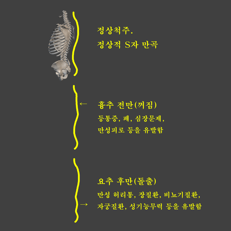 광진경희한의원 | 일반시술 광진경희한의원|일반시술